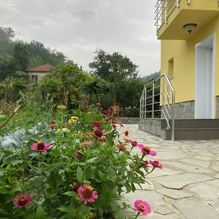 Rosa Вилла *