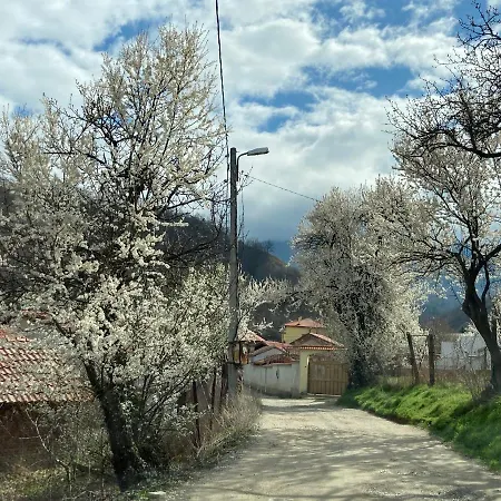 Rosa Вилла Krayni Dol