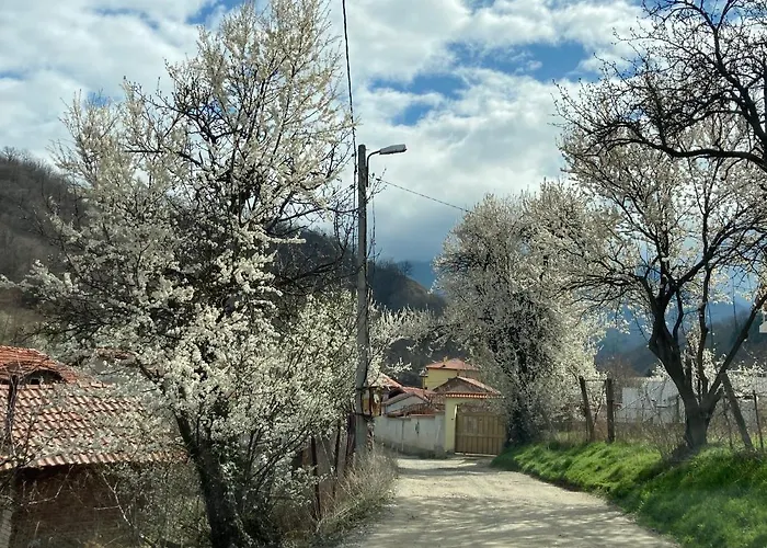 Rosa Вилла Krayni Dol